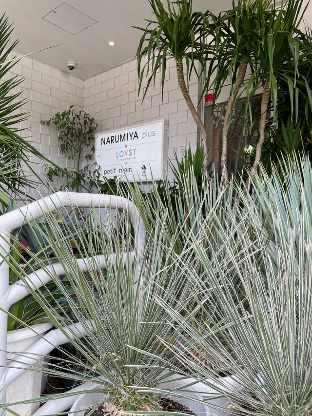 sbotanical エスボタニカル
