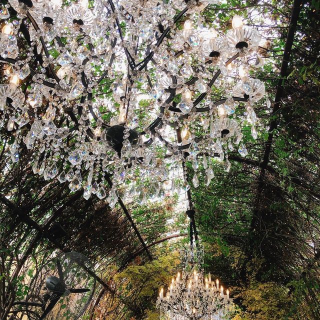 澳洲🇦🇺雪梨Sydney 拍照打卡花園🤳🏻📷 The Grounds of Alexandria