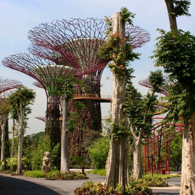 Gardens By The Bay