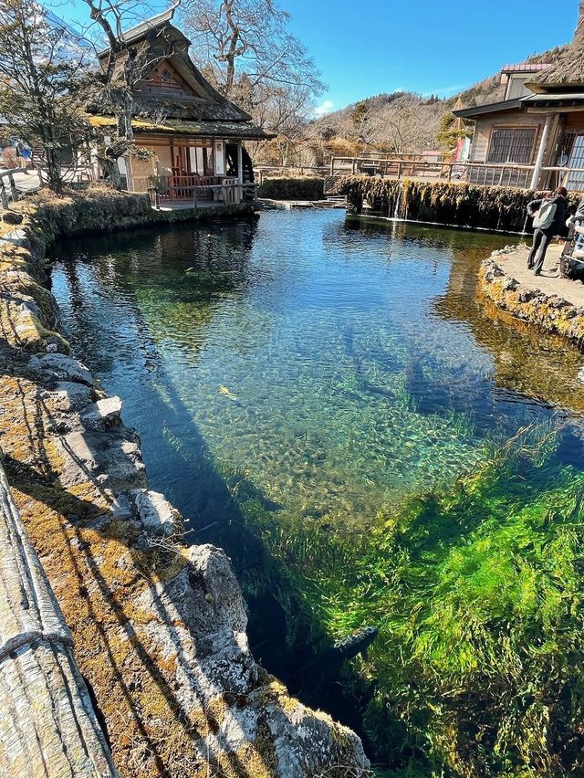 ➰富士山下有名的泉池🗻💧➰
