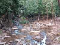 อุทยานแห่งชาติลานสาง 