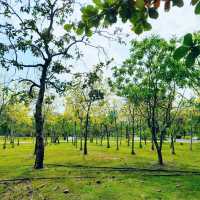 ขับรถไปสวนเบญจกิติ