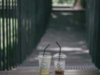 ในป่าคาเฟ่