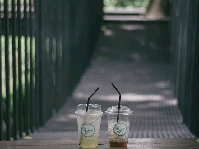 ในป่าคาเฟ่