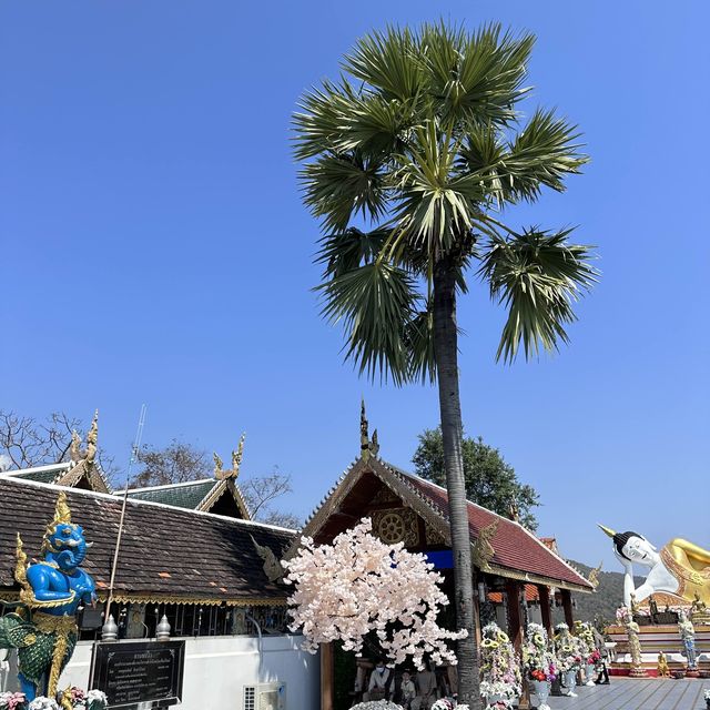 ไหว้พระขอพร หลวงพ่อทันใจ วัดพระธาตุดอยคำ