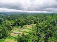 Tegalalang Rice Terrace Ubud Bali
