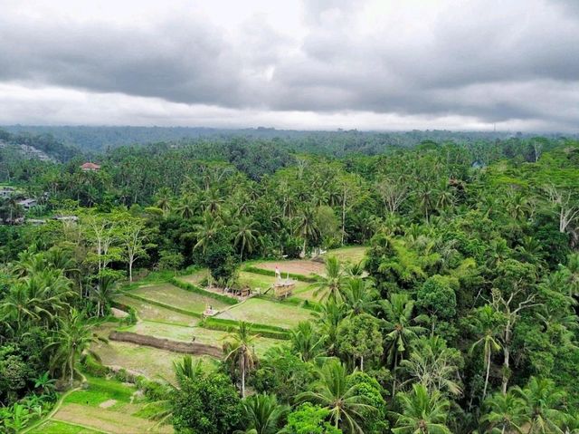 Tegalalang Rice Terrace Ubud Bali