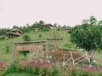 บ้านสวนดอยเปียงปุย  ดอยสกาด จ.น่าน