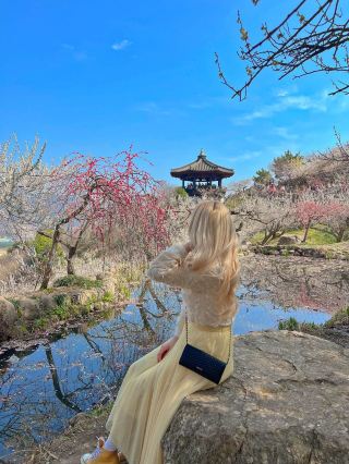 Gwangyang Plum Village🫶🏻
