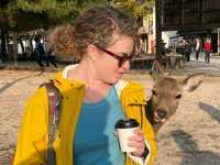 Miyajima and deers of God