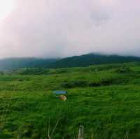 The One & Only Borneo New Zealand
