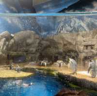 海洋公園：南極奇觀