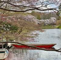 Hirosaki Castle!! 