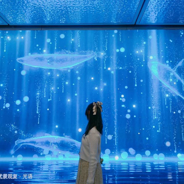 📸 打卡動態媒體屏幕展《光語》🌟🥰 📸 打卡動態媒體屏幕展《光語》🌟🥰