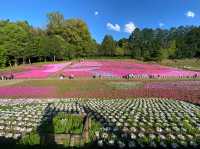 4,5月遊日本必去⭐超靚賞花公園