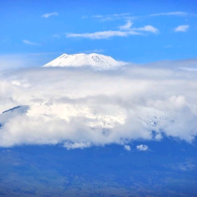  하코네국립공원 후지산과  HAKONE GEOMUSEUM 