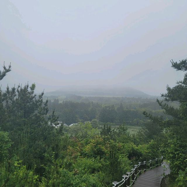 제주여행 제주도의 인기 오름 중 하나의 아부오름 등반