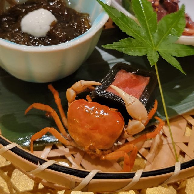 令人震撼的原材料！超長八爪魚觸鬚
