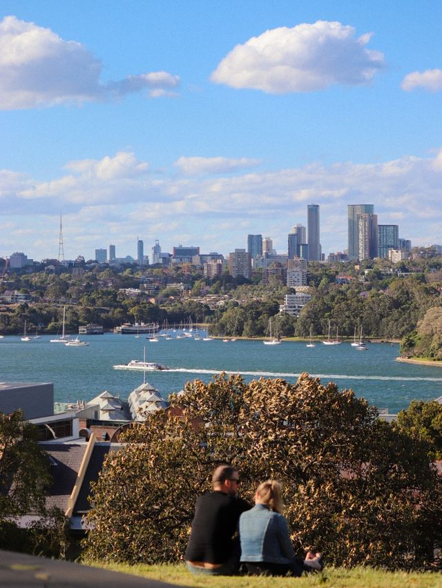 시드니 필수 코스 🇦🇺