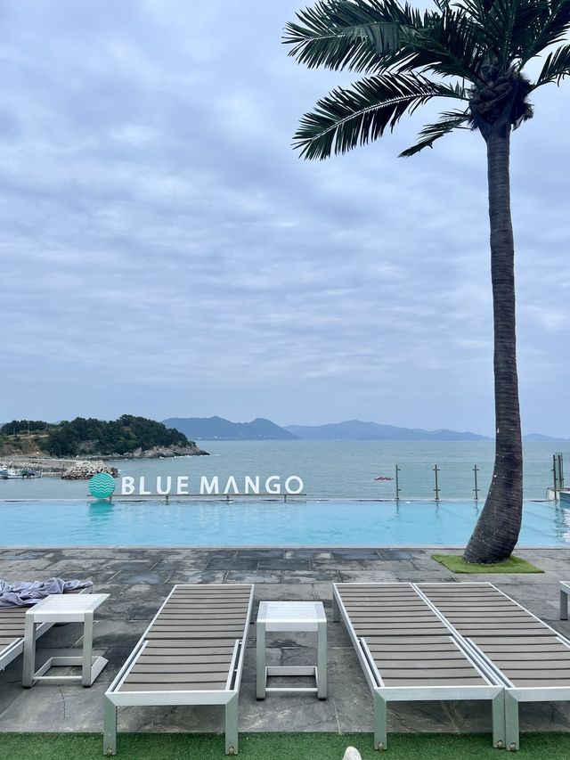 사계절 내내 여수바다를 보며 인피니티풀장에서 헤엄칠 수 있는 곳🏊🩵