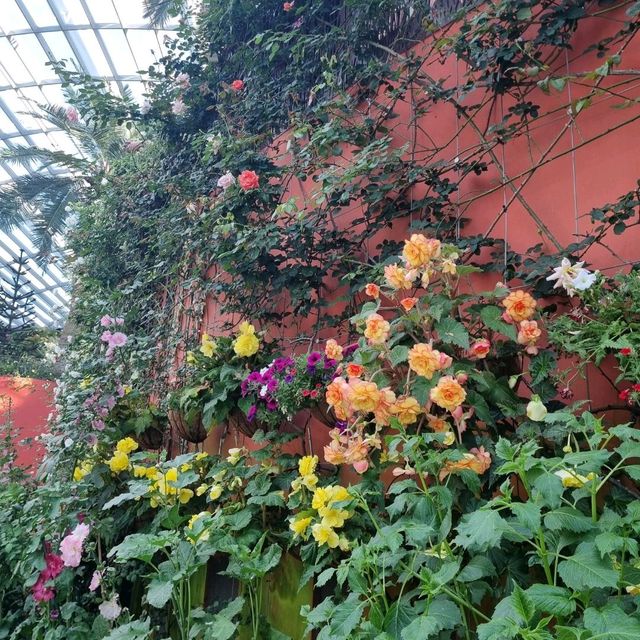 The Flower Dome @ Gardens By The Bay