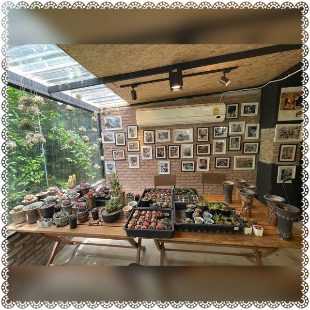 （泰國/曼谷）都市中的森林系🌳咖啡廳-The Kiln Studio