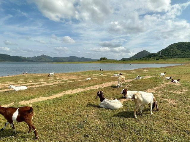 🏔️ จับแพะชนแกะ เขื่อนปราณบุรี 🏔️