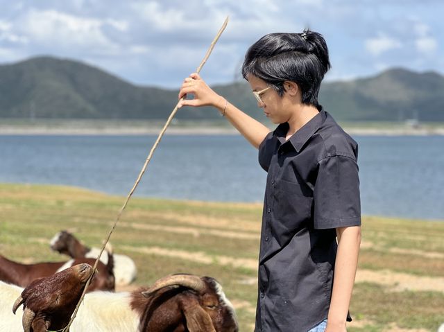 🏔️ จับแพะชนแกะ เขื่อนปราณบุรี 🏔️