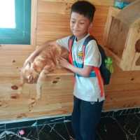 Razia Rimba Zoo Have Fun