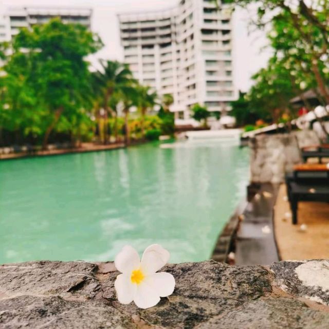 โรงแรมติดทะเลระยอง ได้ทั้งวิวเขาและทะเล🏖️