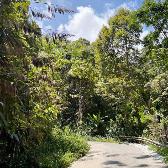 Mae Kampong, a mountain village -1