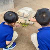 Butterfly and reptile sanctuary, Melaka