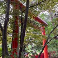 北海道　伏見稲荷神社