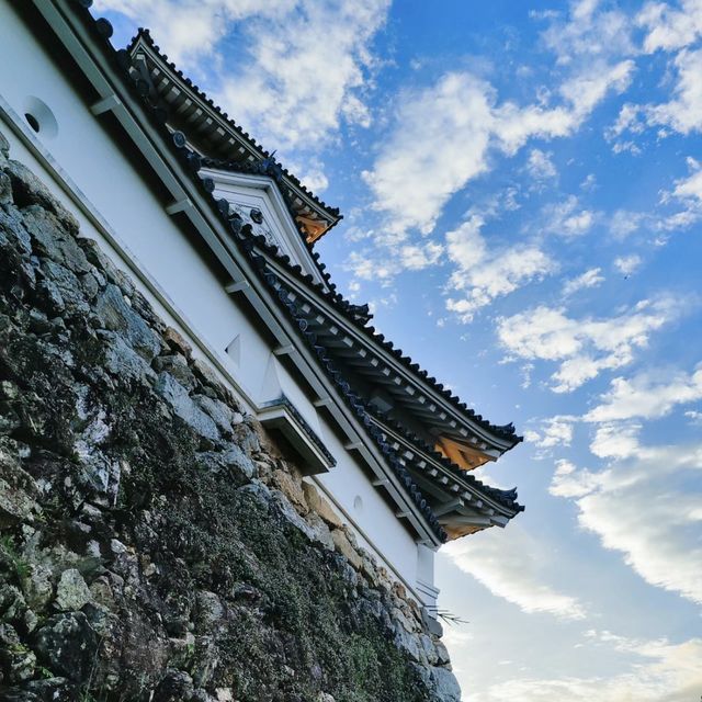 穿越時光！高知城感受歷史與浪漫！🏯🌸🌳