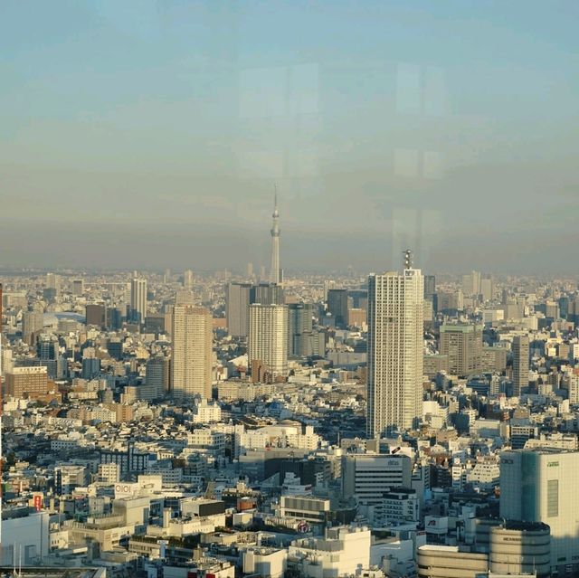 Tokyo Metropolitan Government Building