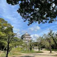千葉亥鼻城遺跡半日遊～
