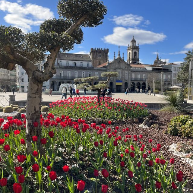 Bragaで1番歴史深い街並み/ポルトガル🇵🇹