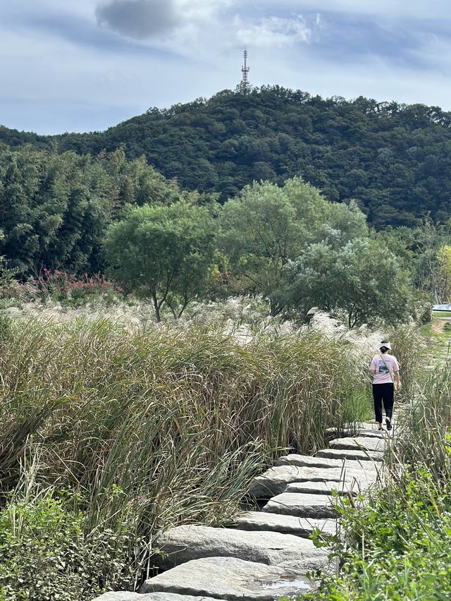 울산의 숨은 명소, 태화강국가정원💖