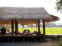 อิ๊กซ์อีสานคาเฟ่ คาเฟ่ทุ่งนาบรรยากาศดีต่อใจ