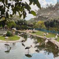 🇲🇾必去景點-吉隆坡飛禽公園