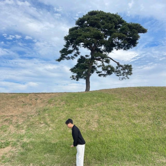 국내여행 충청도 여행에는 청주 정북동토성