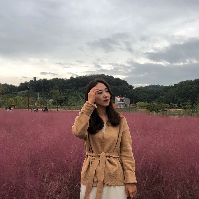 함안 가을여행지 악양생태공원🚶‍♀️🚶‍♂️