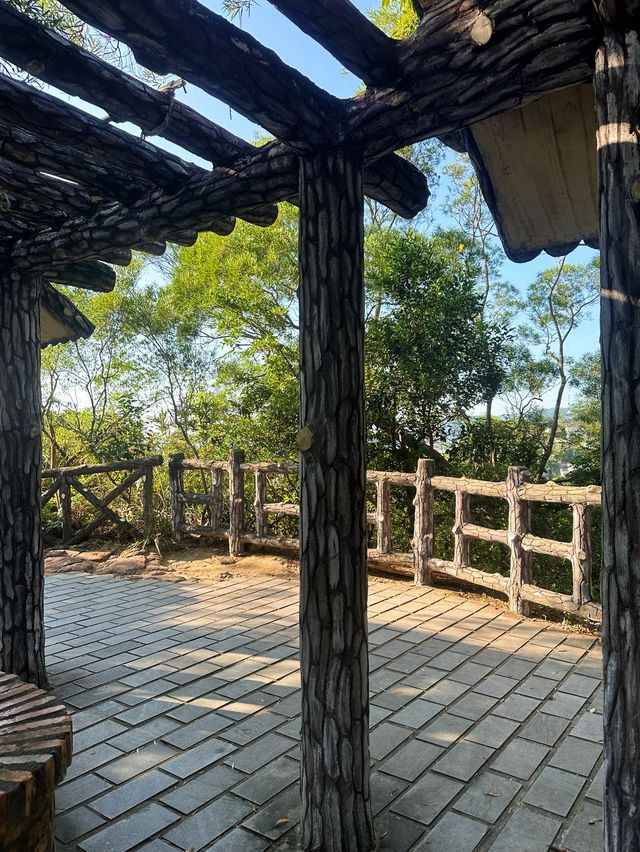 [台北] 市區低難度的登山步道 超美沉積岩打卡景點-軍艦岩登山步道