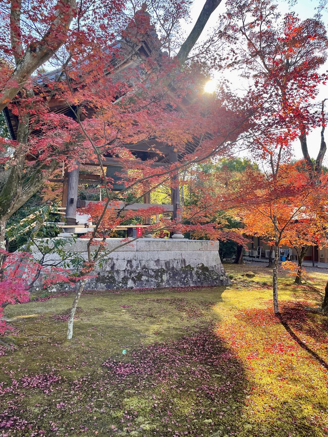 เที่ยววัดทองแห่งเกียวโต Kinkakuji Temple