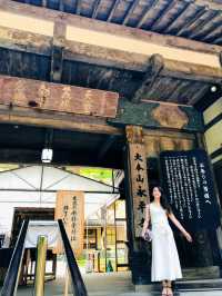 【福井】5枚の動物を見つけると願いが叶う！？永平寺傘松閣の天井絵