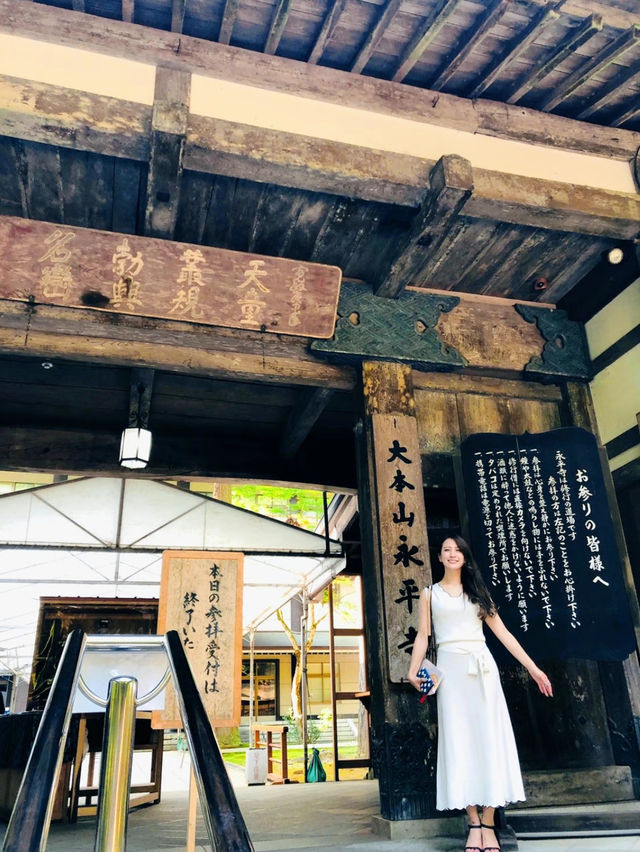 【福井】5枚の動物を見つけると願いが叶う！？永平寺傘松閣の天井絵