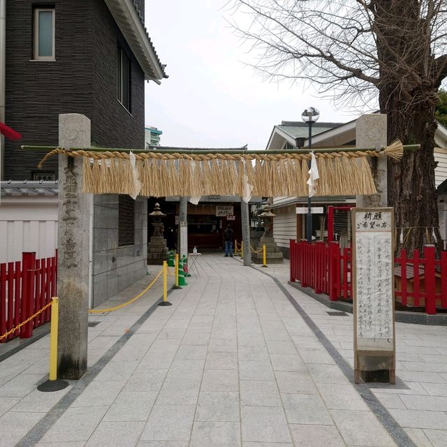 福岡観光2023 「若八幡宮」