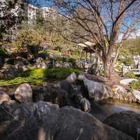 Sydney Chinese Garden of Friendship 