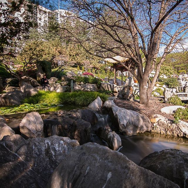 Sydney Chinese Garden of Friendship 