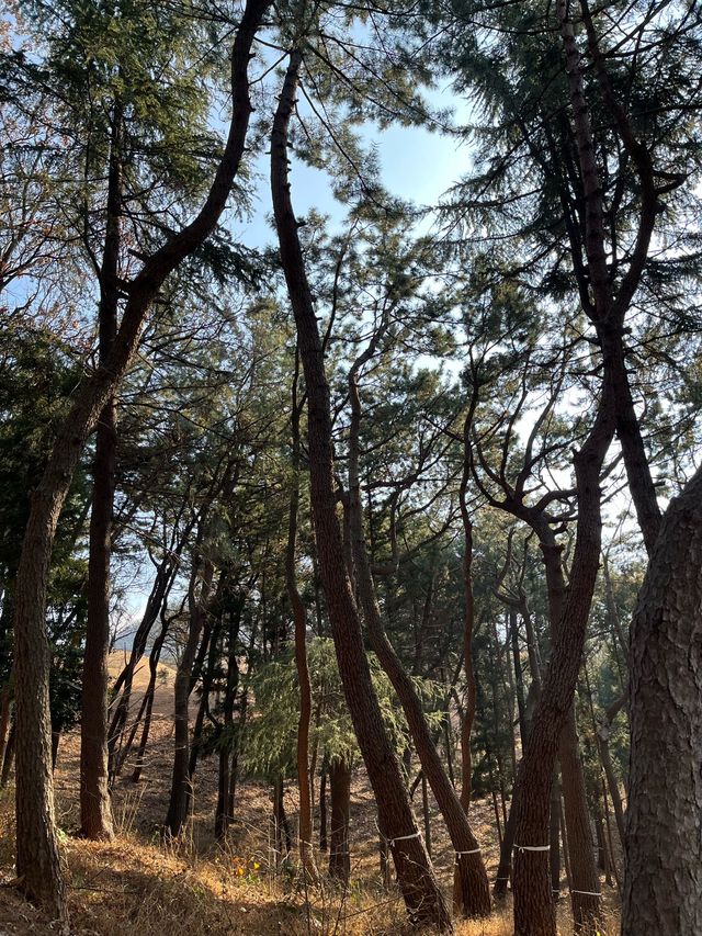 숨겨진 부산여행지